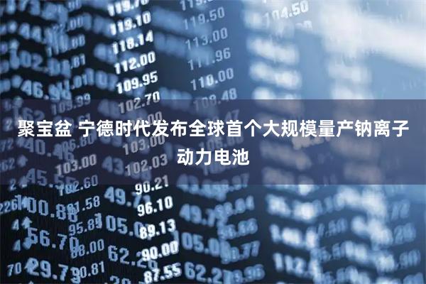聚宝盆 宁德时代发布全球首个大规模量产钠离子动力电池