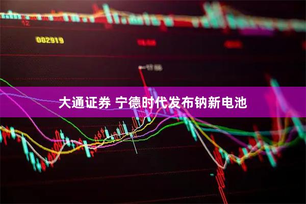 大通证券 宁德时代发布钠新电池