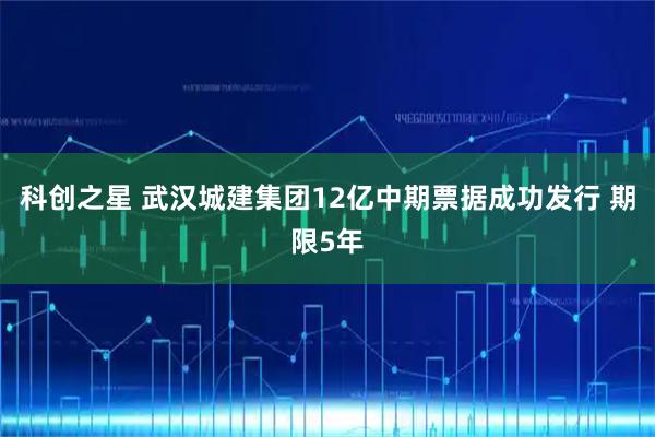 科创之星 武汉城建集团12亿中期票据成功发行 期限5年